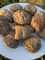 Dried Shiitake Mushroom (100 gm) - Image 3