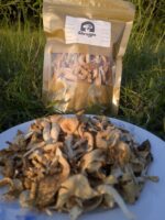 Dried Oyster Mushroom (100 gm) - Image 4