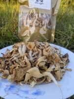 Dried Oyster Mushroom (100 gm) - Image 2