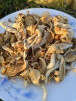 Dried Oyster Mushroom (100 gm) - Image 3