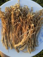 Dried Enoki Mushroom (250 gm) - Image 2