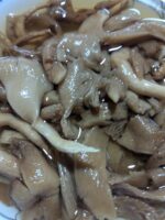 Dried Oyster Mushroom (100 gm) - Image 6